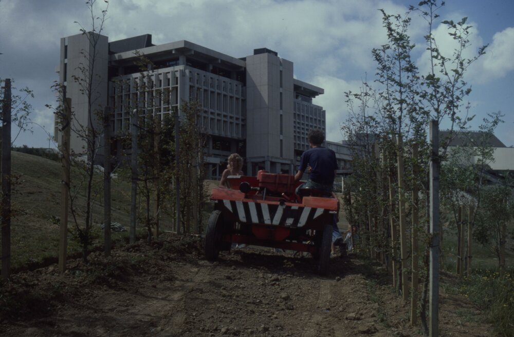 Construction of path and landscaping around Oranga Lake 02