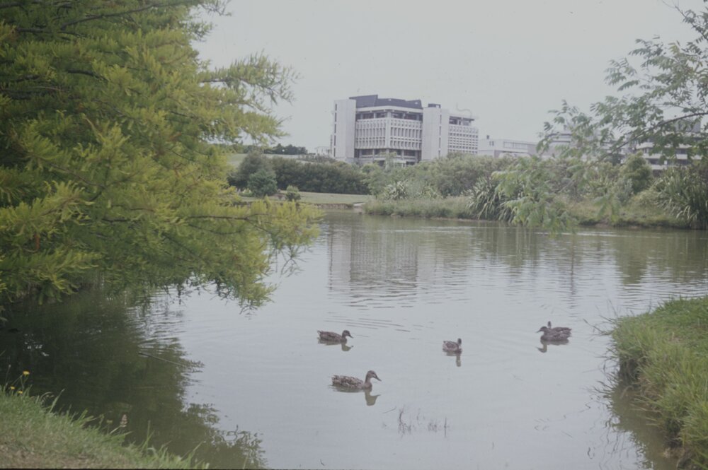 View of the Library over Oranga Lake