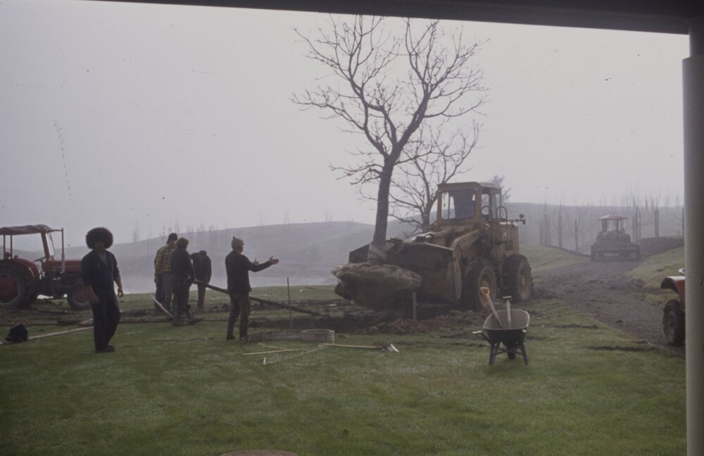 Relocating mature trees on Hamilton campus 02
