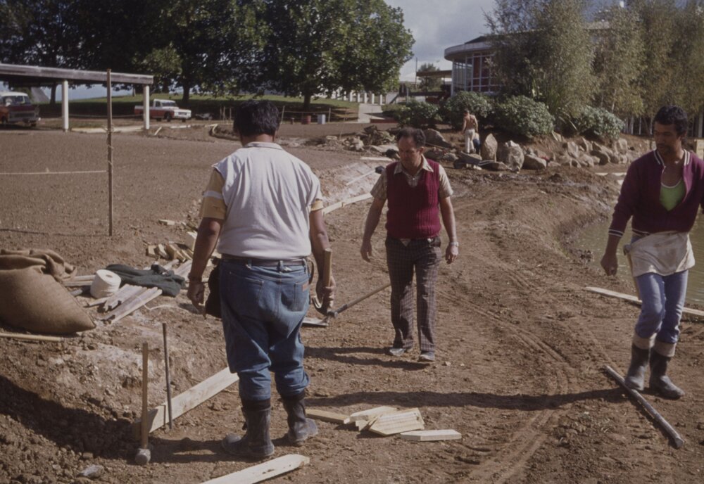 Landscaping of the village green and edge of Oranga Lake 01