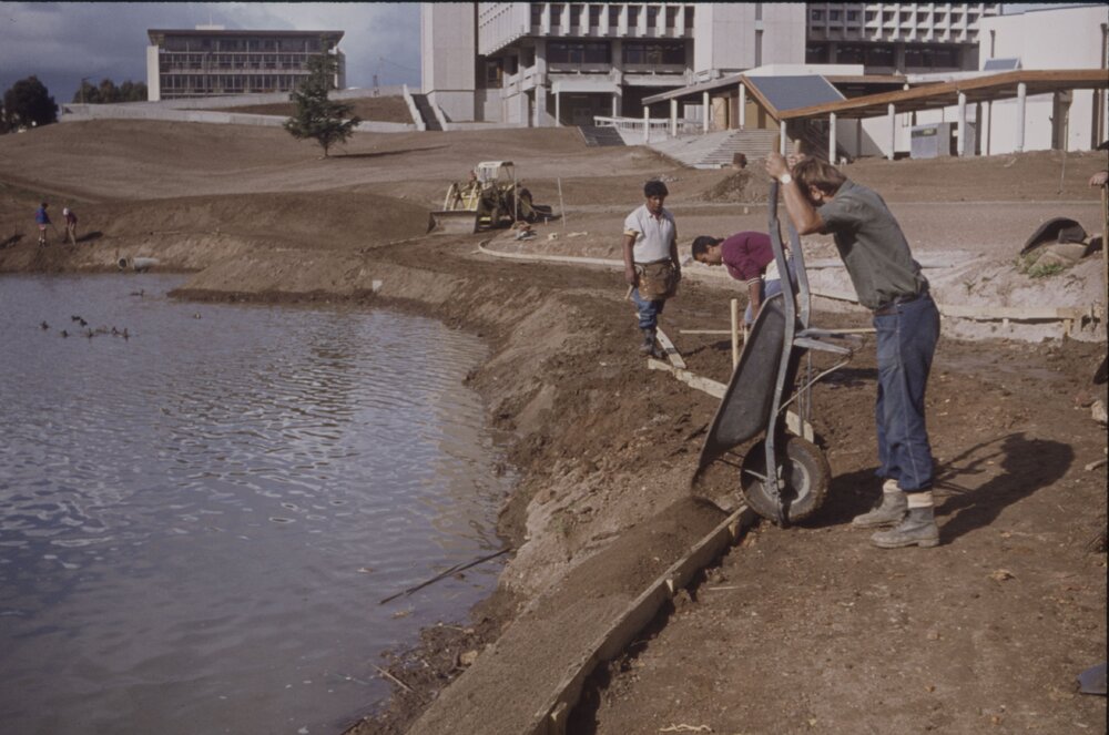 Landscaping of the village green and edge of Oranga Lake 02