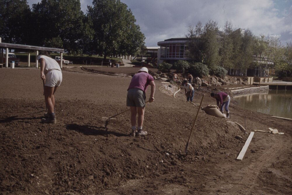 Landscaping of the village green and edge of Oranga Lake 03