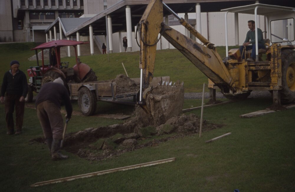 Landscaping of the village green 01