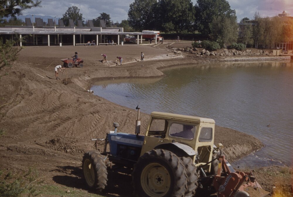 Landscaping of the village green and edge of Oranga Lake 04