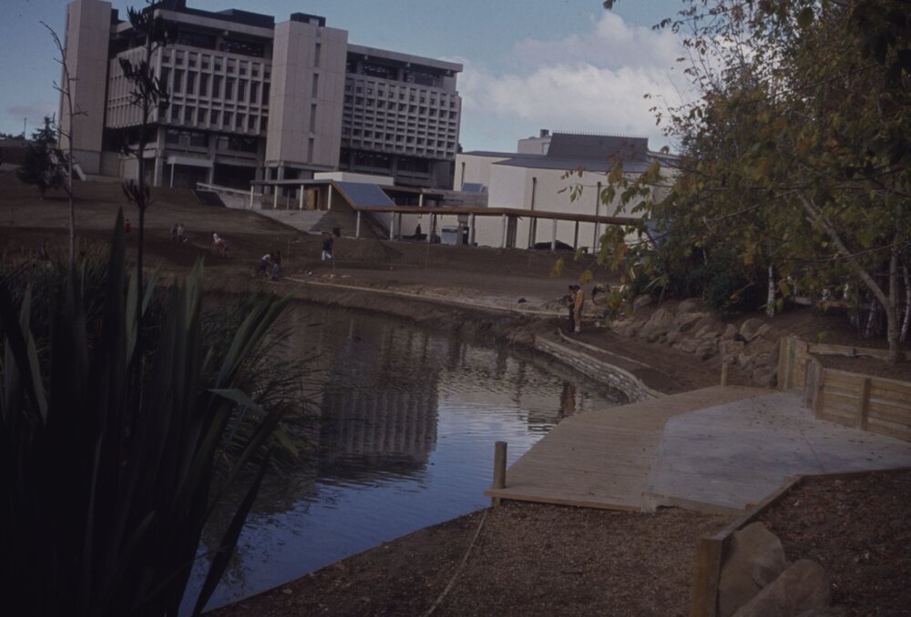 Landscaping of the village green and edge of Oranga Lake 05