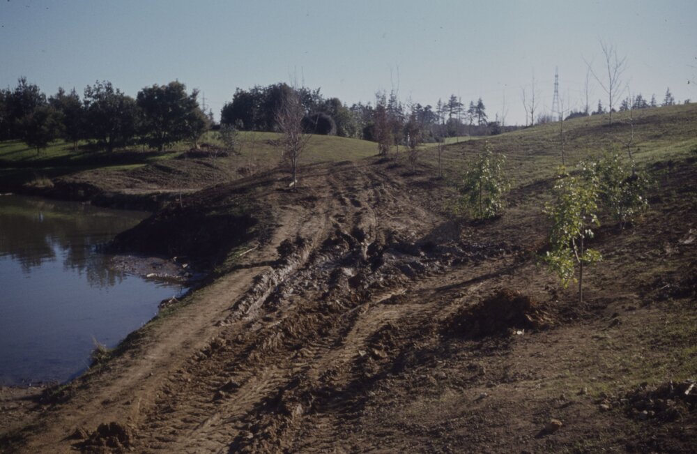 Construction of path and landscaping around Oranga Lake 03