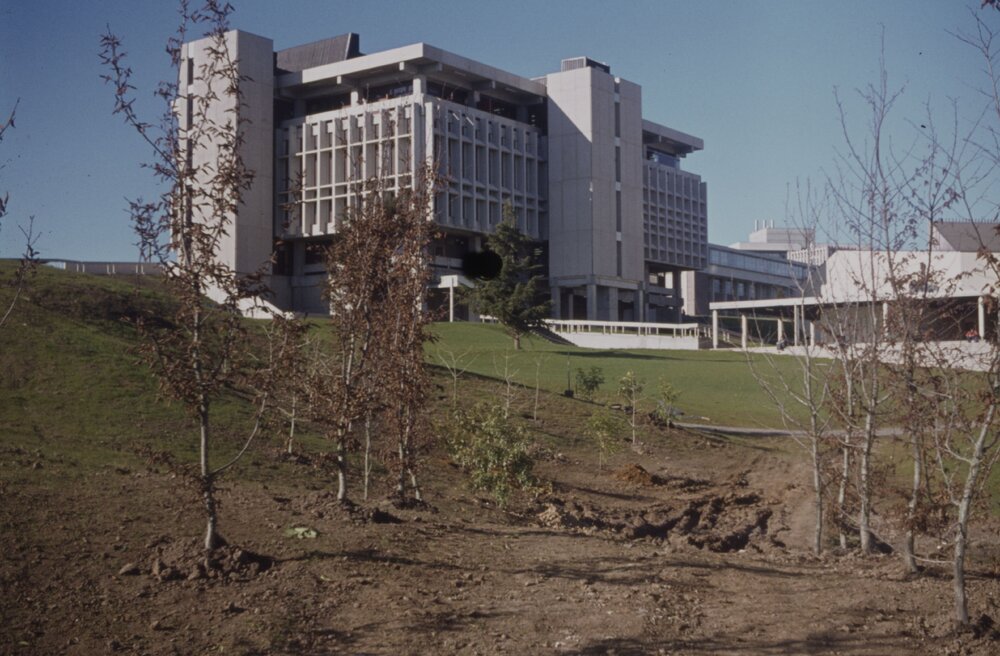 Construction of path and landscaping around Oranga Lake 04