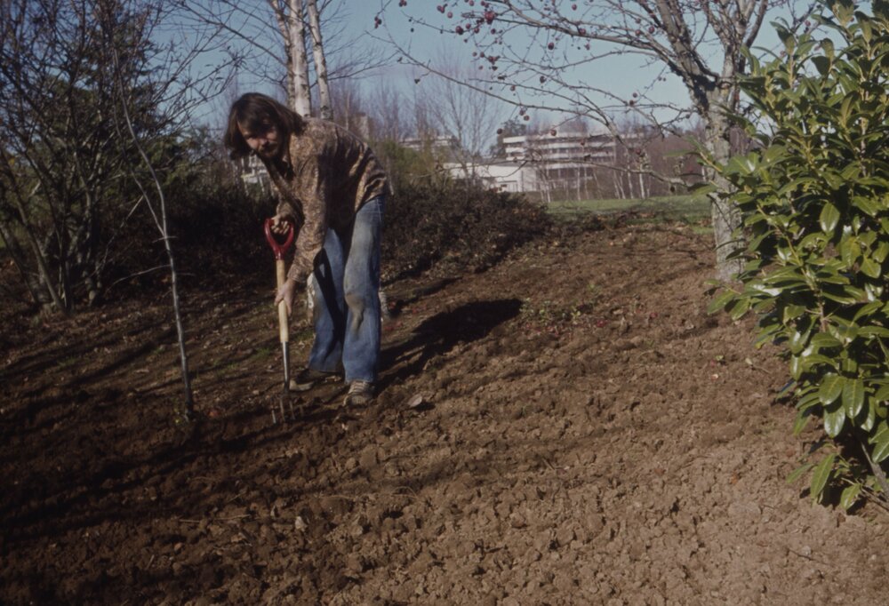 Grounds staff planting trees on Hamilton campus 02