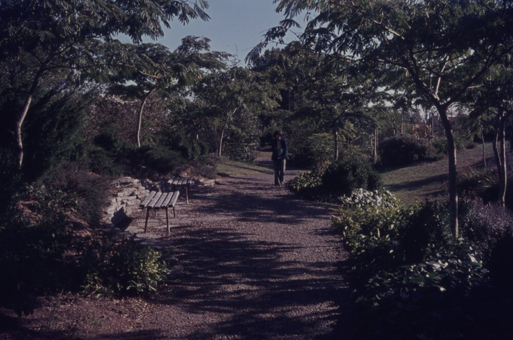 Student walking along pathway on Hamilton campus 01