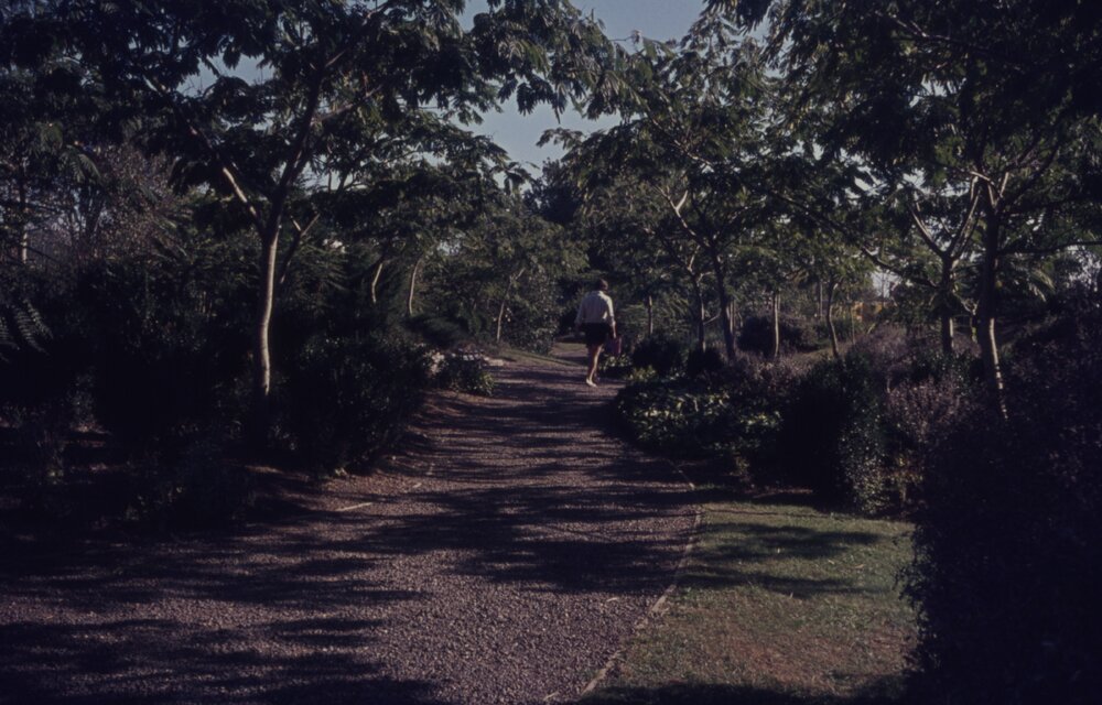 Student walking along pathway on Hamilton campus 02