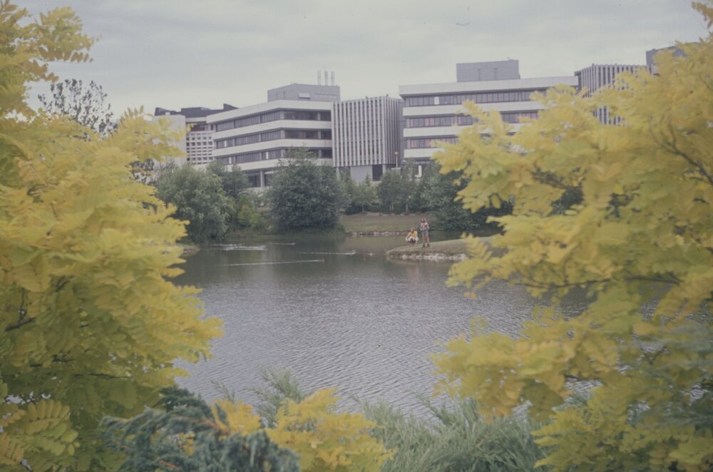 Chapel Lake, K and J Blocks