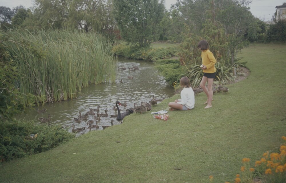 Children feeding ducks by Knighton Lake 01
