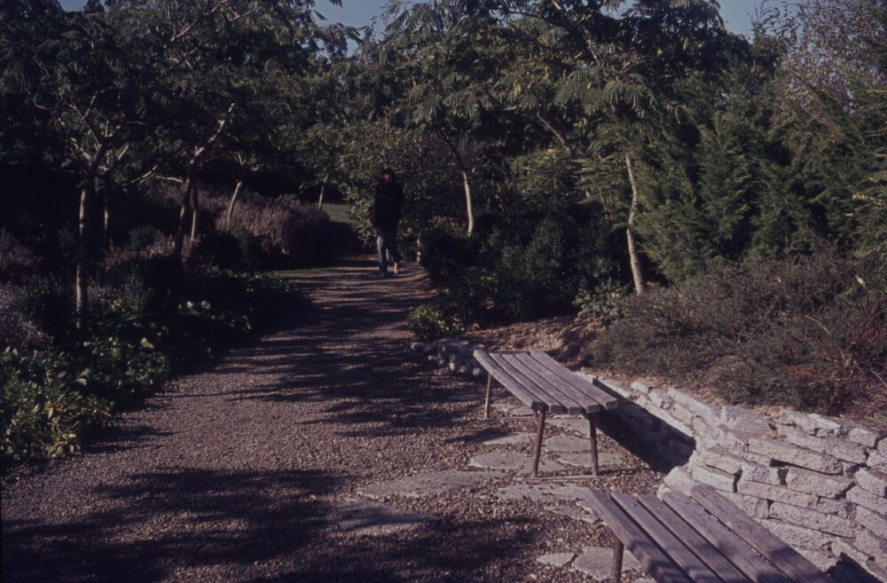 Student walking along pathway on Hamilton campus 03