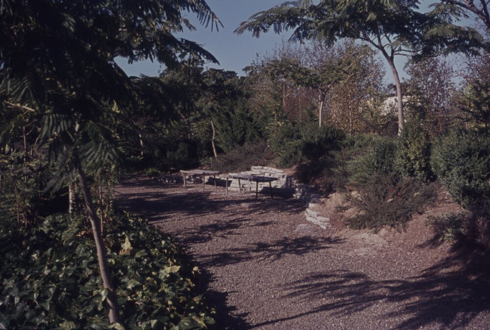 Landscaping around pathway on Hamilton campus
