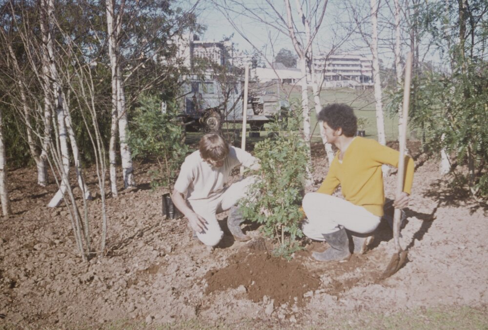 Grounds staff planting trees on Hamilton campus 03