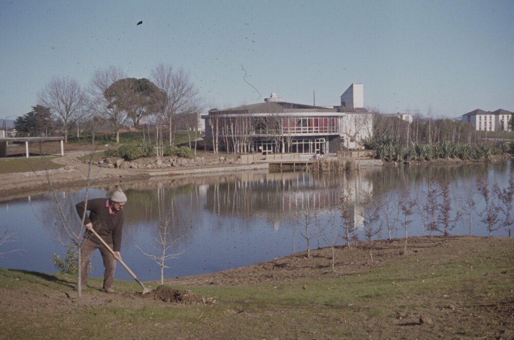 Landscaping on hill below Library  02