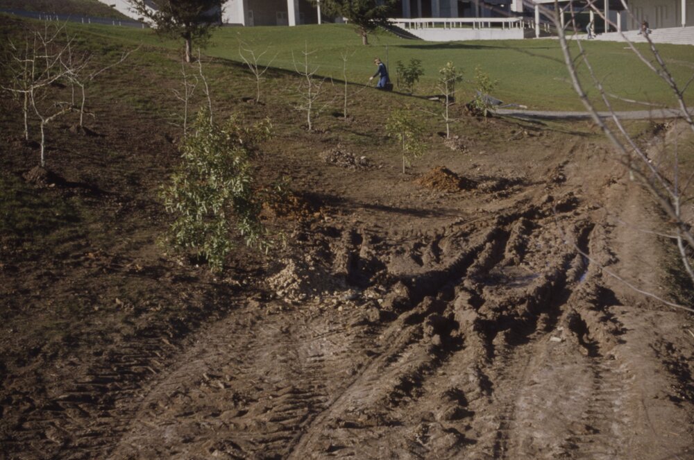 Construction of path and landscaping around Oranga Lake 05