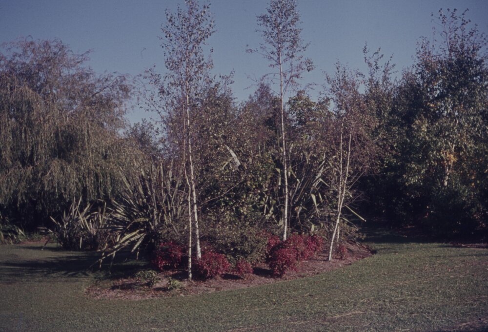 Hamilton campus plantings 08