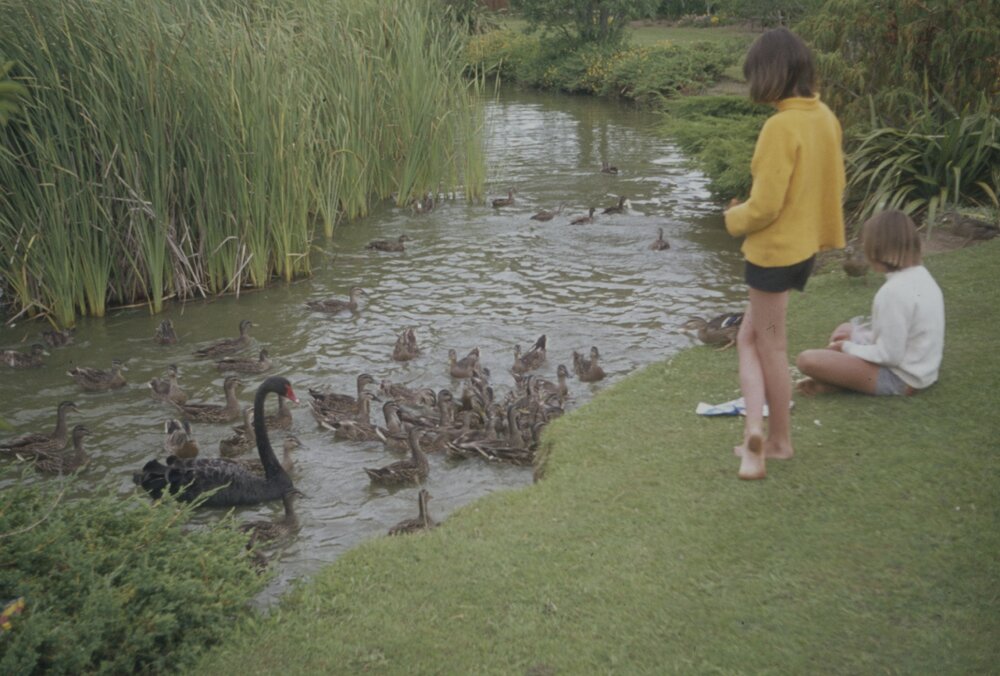 Children feeding ducks by Knighton Lake 02