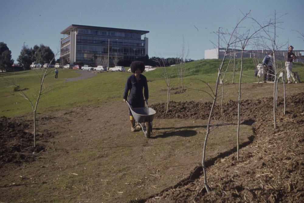 Landscaping in front of B Block