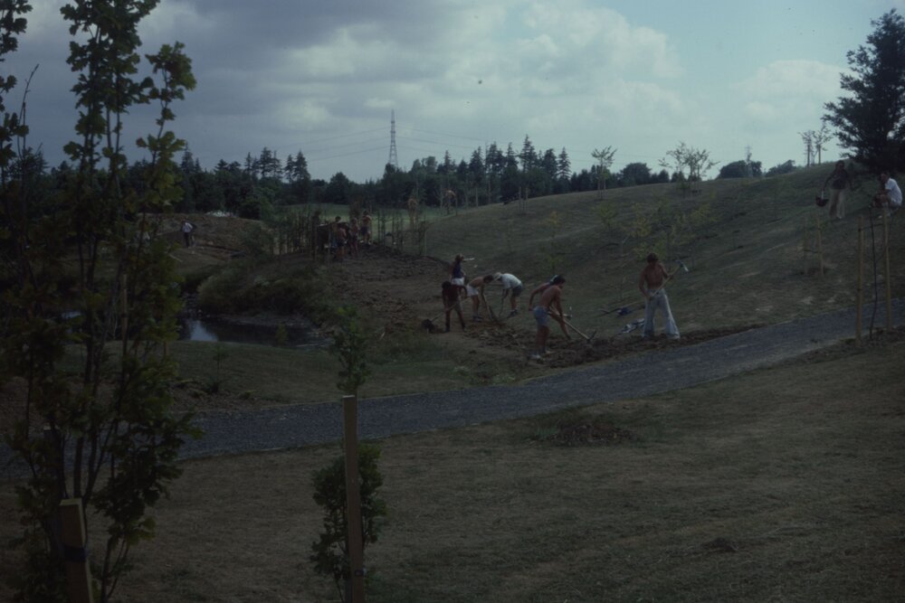 Construction of path and landscaping around Oranga Lake 06