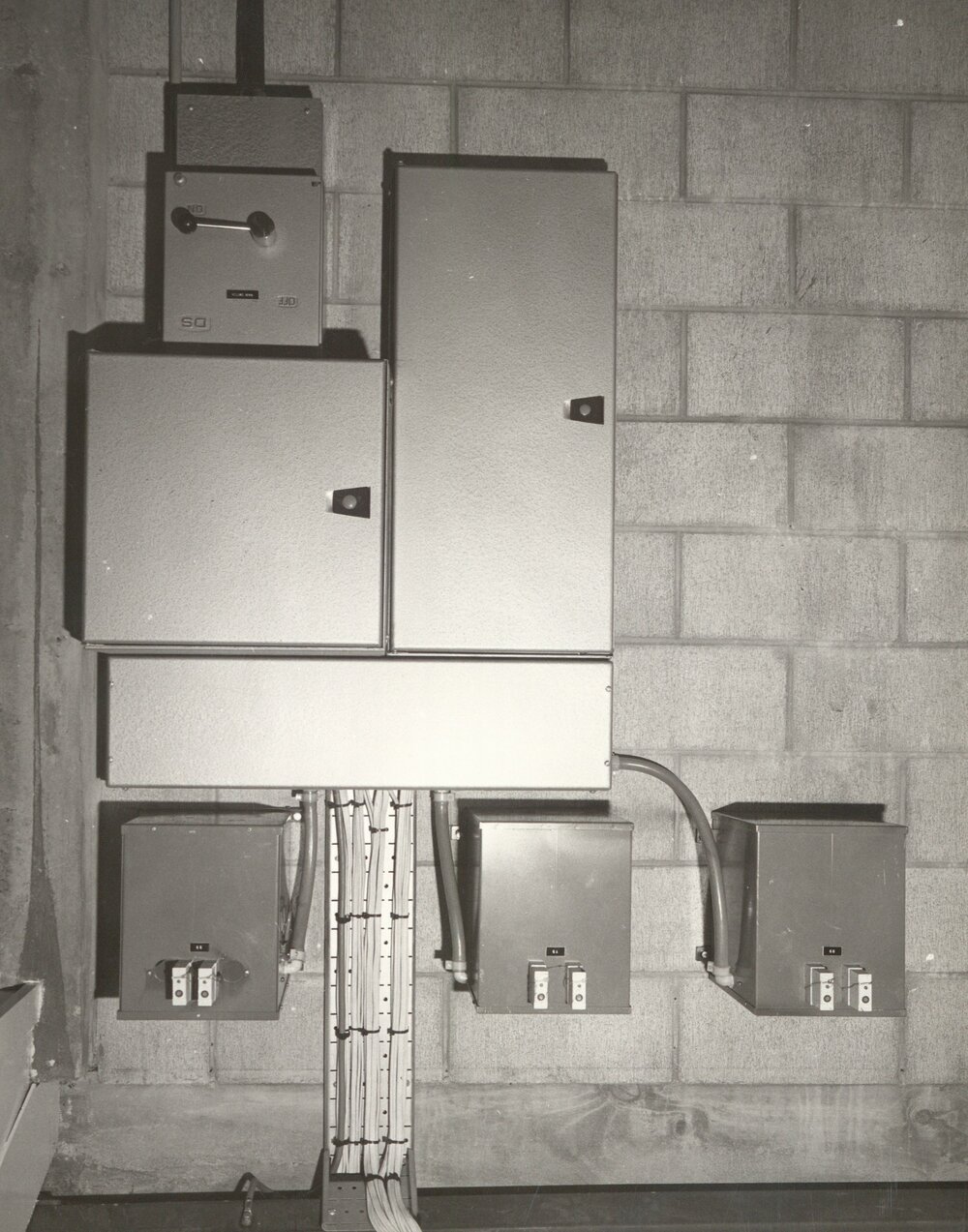 Grounds team health and safety image 37