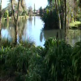 Apirana Tūāhae Mahuika - Honorary Doctorate - part 1