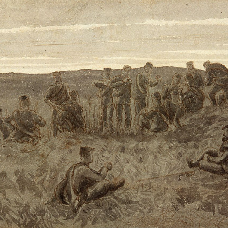 Tauranga Confiscation