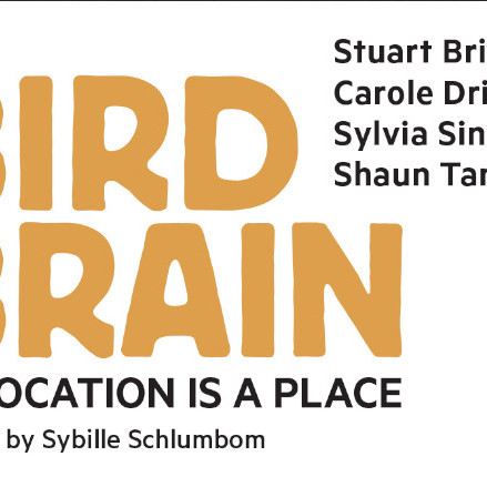  Bird brain : dislocation is a place