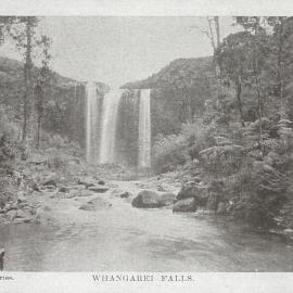 Whangarei Falls