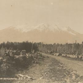 Mount Ruapehu from Horopito