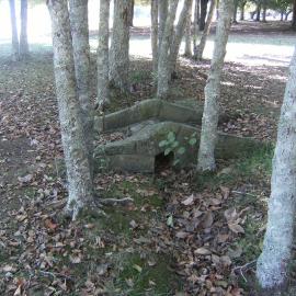 Stone bridge under trees