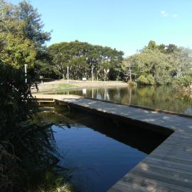 Knighton Lake boardwalk