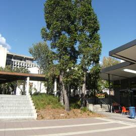 Landscaping next to university shops