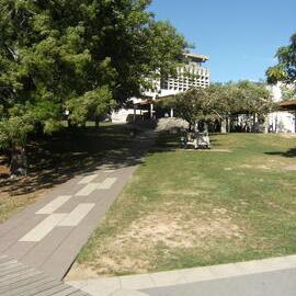 Pathway from university shops to Library