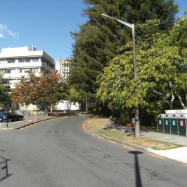 Landscaping next to bus stop
