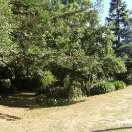 Landscaping near Chapel Lake