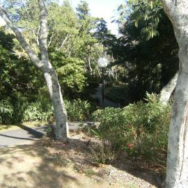 Landscaping around Chapel Lake walkway