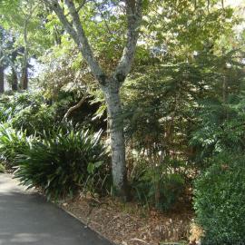 Pathway landscaping 