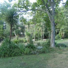 Landscaping and plants beside Chapel Lake