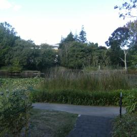 Chapel Lake looking towards I Block