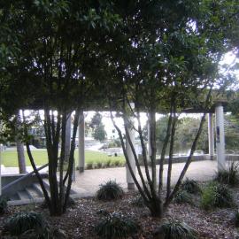 Landscaping near university shops