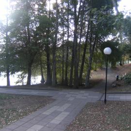Pathway intersection by Oranga Lake