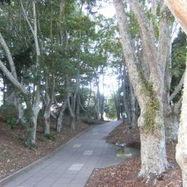 Pathway from Oranga Lake to T Block
