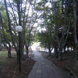 Pathway from T Block to Oranga Lake 