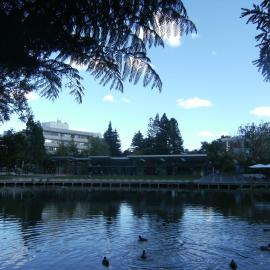 Oranga Lake and university shops