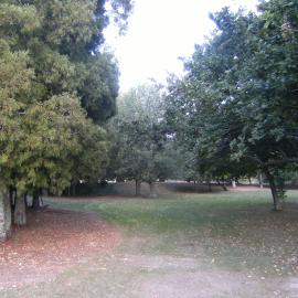 Tree landscaping between sports fields and lakes