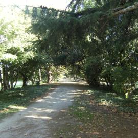 Accessway near sports fields