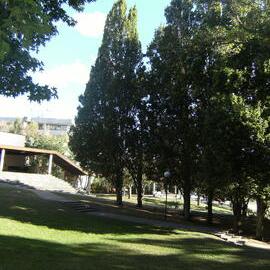 Landscaping near Oranga Lake
