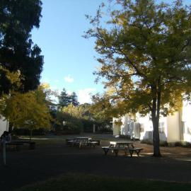 Landscaping near Student Village